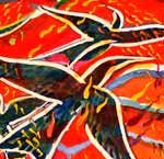 Frigates Fishing Birds flying over a bright Orange background