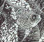 Angel Fishes angel fish